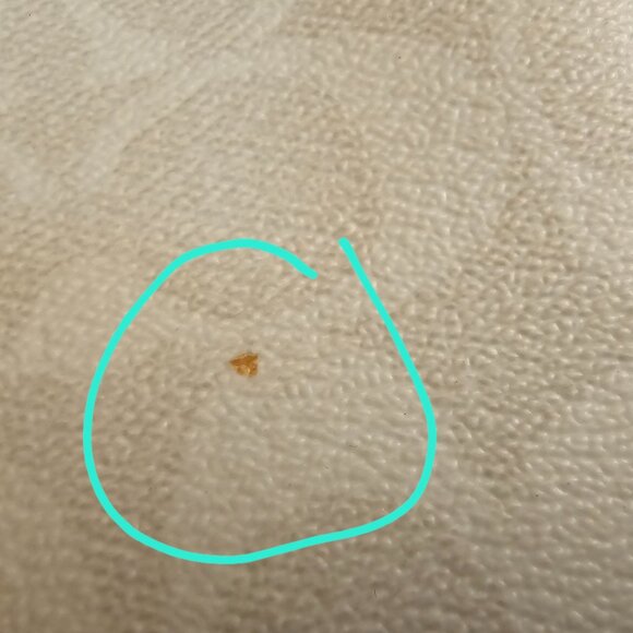 Large Coach Spiderman wristlet - Picture 10 of 10